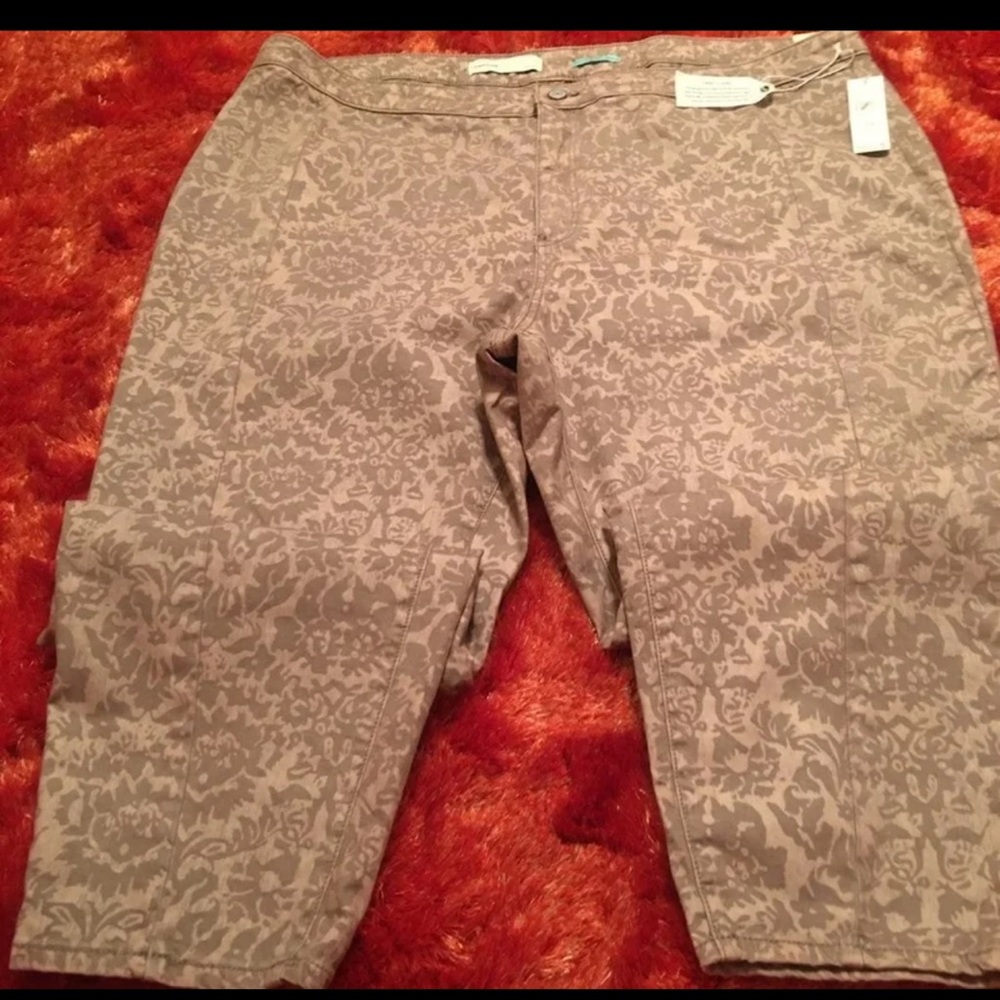 Anthropologie 26W
Pilcro 
High Rise Denim
Pockets